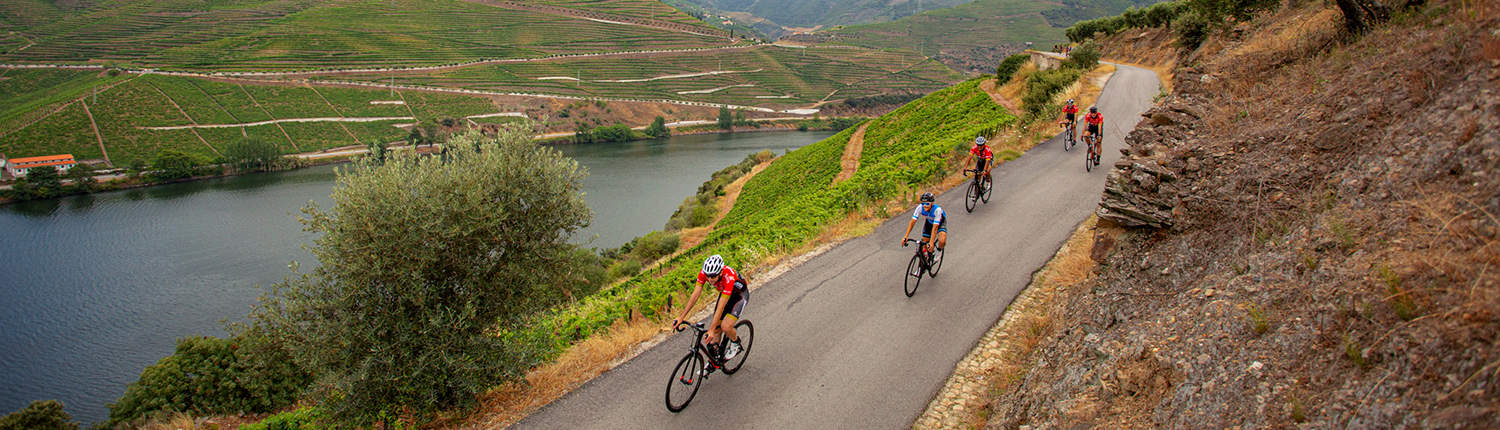 Ciclismo pelas Encostas do Douro - Caminhos da Natureza