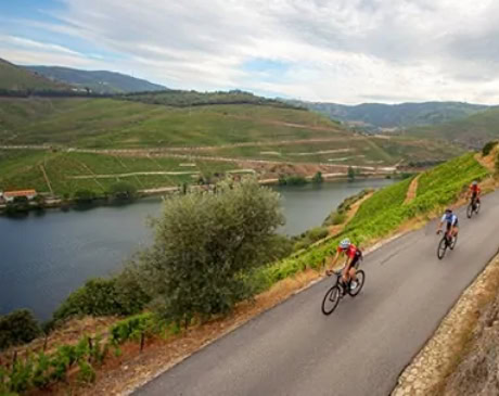 Ciclismo pelas Encostas do Douro - Caminhos da Natureza
